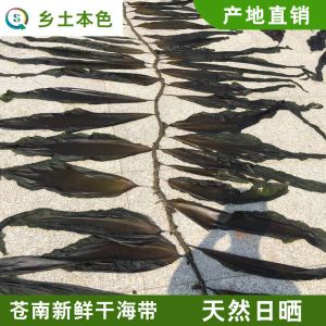 日晒干海带霞浦海带批发价火锅食材散装海带批发煲汤无沙新货海带