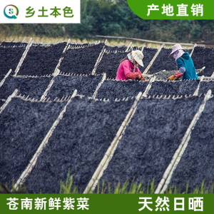 霞浦头水紫菜干货特级免洗无沙无盐商用蛋花汤一级纯散装福建特产